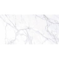 Vloertegel Douglas & Jones Marbles 60x120 cm Glans Lincoln White (Doosinhoud 1.44m2)