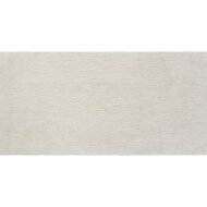 Decor Alaplana P.E. Bonn Gerectificeerd 60x120 cm Decor Relief Mate White (Prijs per stuk)